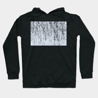 Black and White Aspen Forest Abstract Hoodie